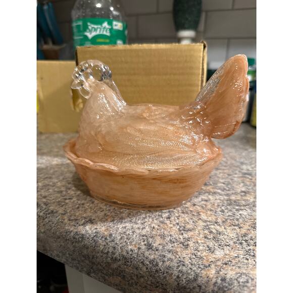 Amber swirl hen on nest - Picture 1 of 4